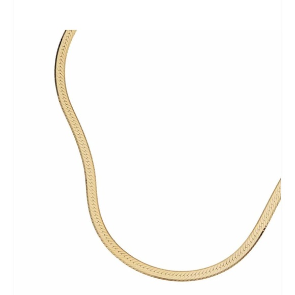 Jennifer Zeuner Jewelry Hamilton Karli Necklace MSRP $187 New In Dust Bag - Picture 3 of 3